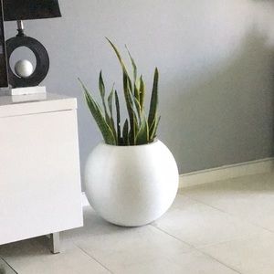 Meet your Posher, Beverly